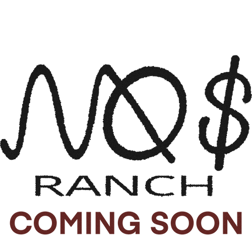 No Money Ranch